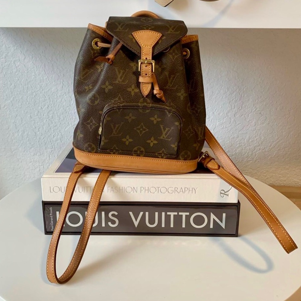 RARE Louis Vuitton Montsouris Mini PM backpack! - Picture 1 of 8